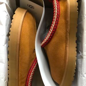 Authentic New Ugg Tazz (Platform Tasman) Kids’ 6 (approx women’s 7.5) chestnut!
